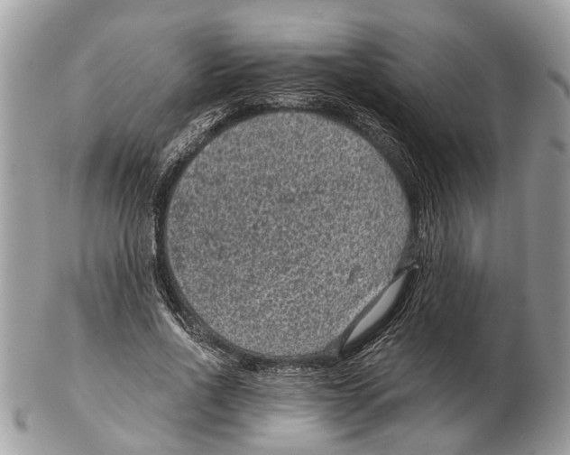 X0000102460734200809051309