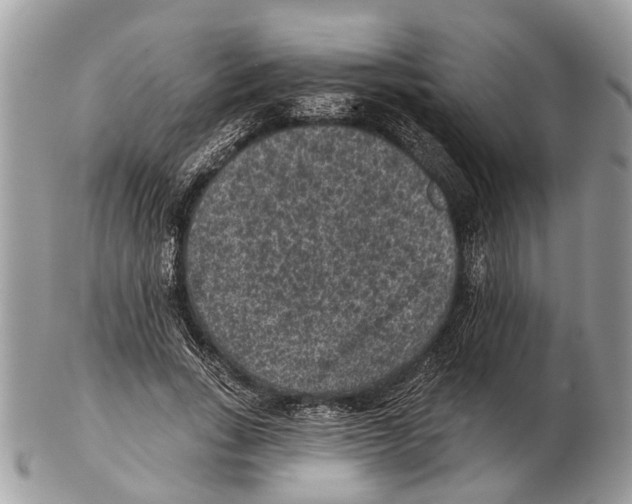 X0000102460735200809051309