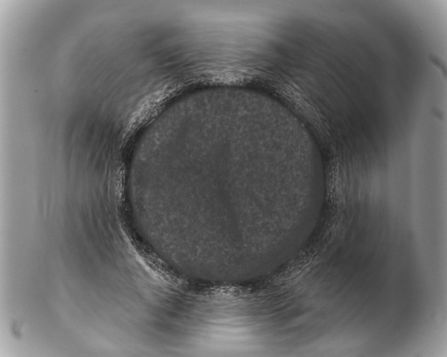 X0000102460736200809051309