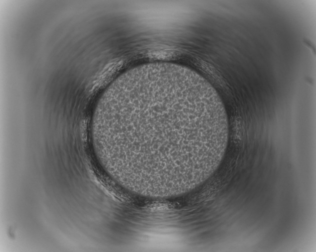 X0000102460738200809051309