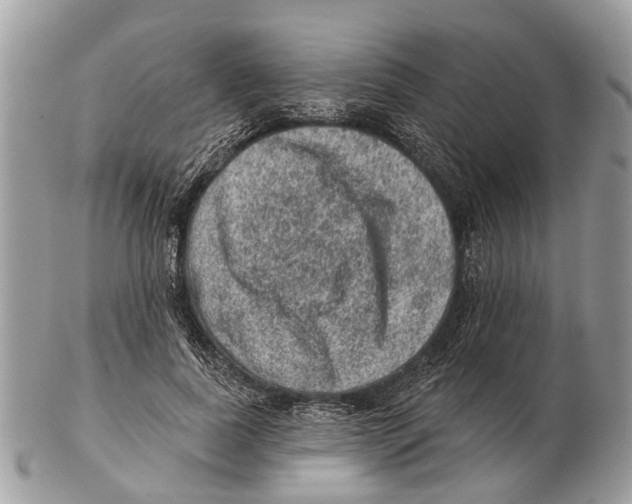 X0000102460739200809051309