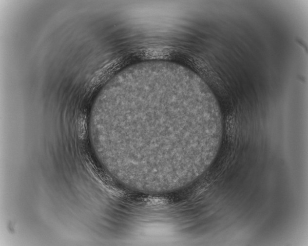 X0000102460741200809051309