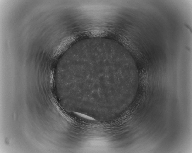 X0000102460742200809051309