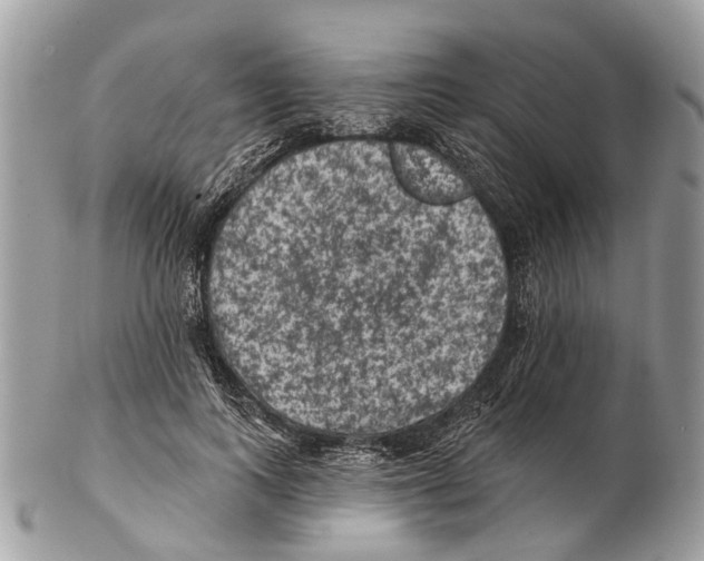 X0000102460743200809051309