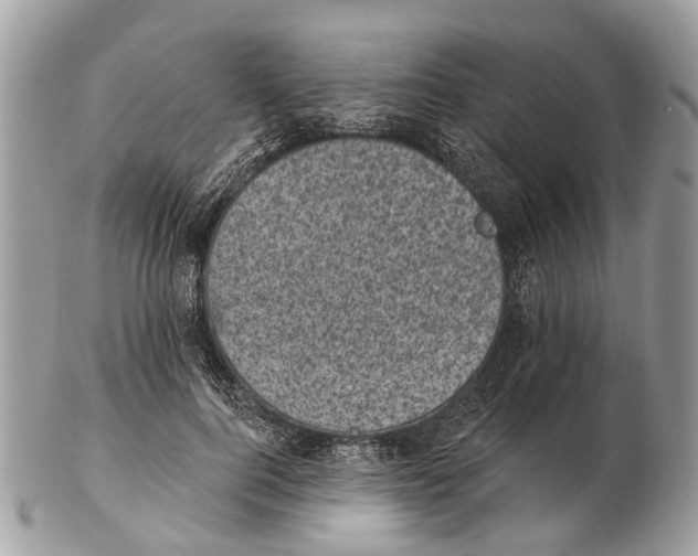 X0000102460744200809051309