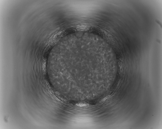 X0000102460745200809051309