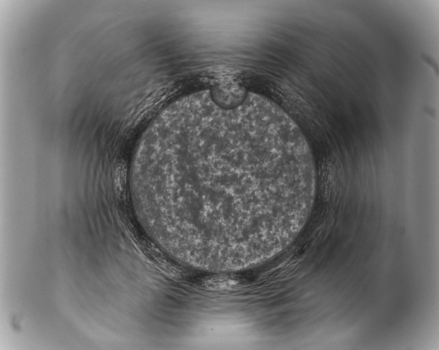 X0000102460747200809051309