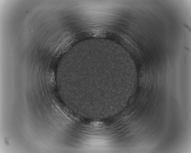 X0000102460748200809051309