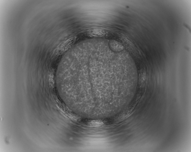 X0000102460749200809051309