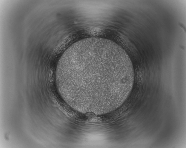 X0000102460750200809051309