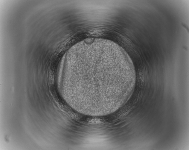 X0000102460751200809051309
