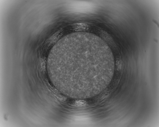 X0000102460753200809051309