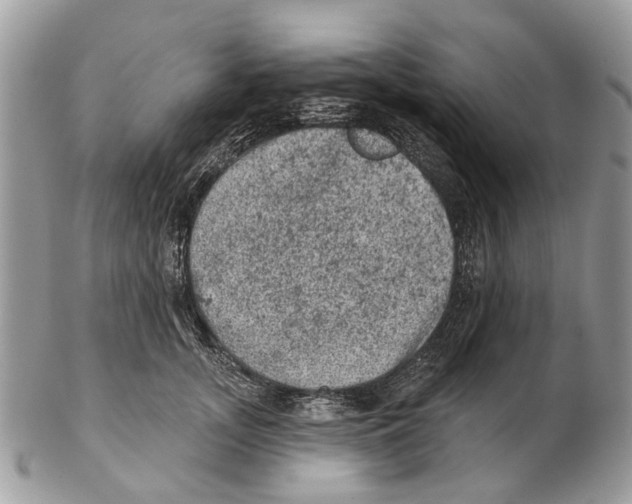 X0000102460755200809051309