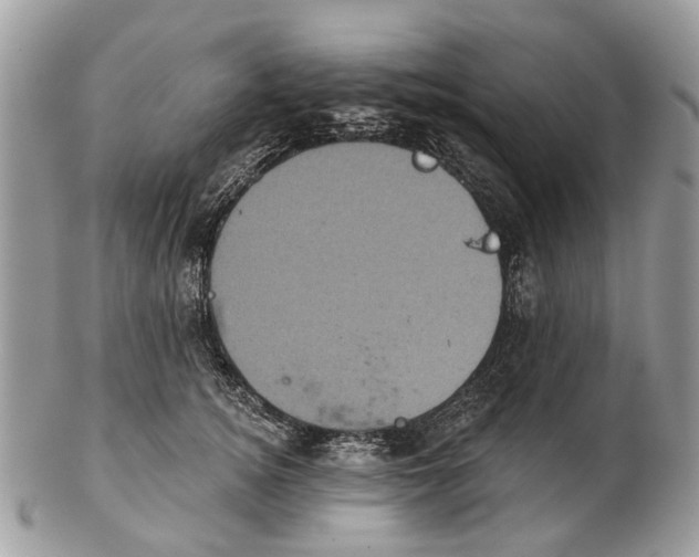 X0000102460756200809051309