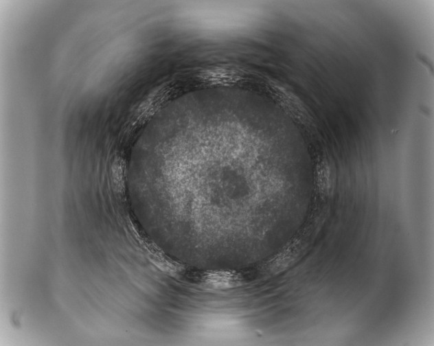 X0000102460757200809051309