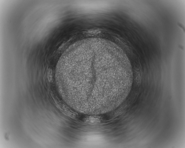 X0000102460758200809051309