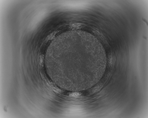 X0000102460759200809051309