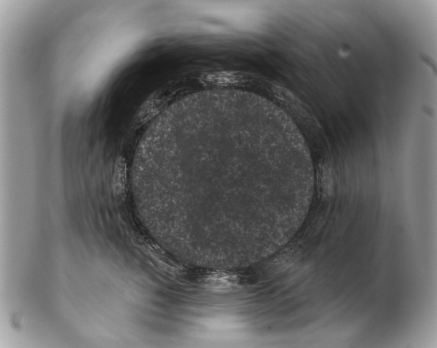 X0000102460760200809051309