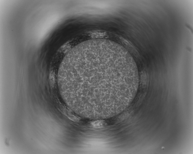X0000102460761200809051309