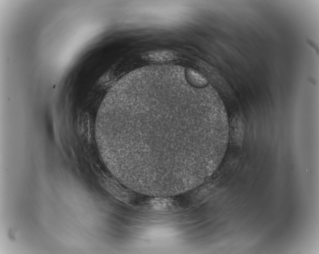 X0000102460762200809051309