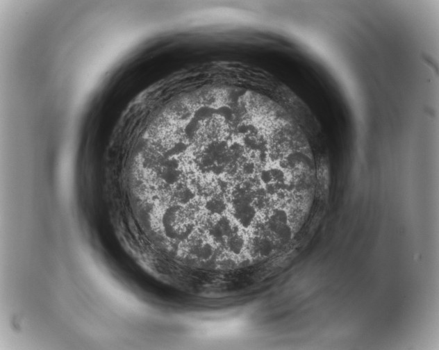 X0000102460765200809051309