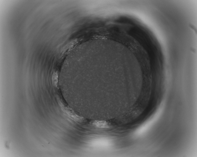 X0000102460767200809051309