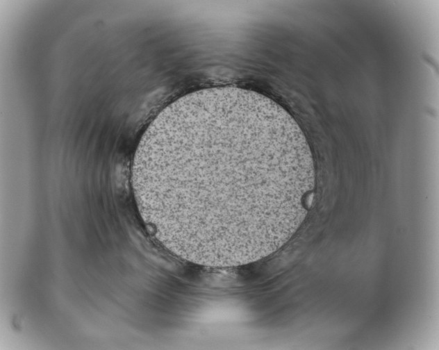 X0000102460768200809051309