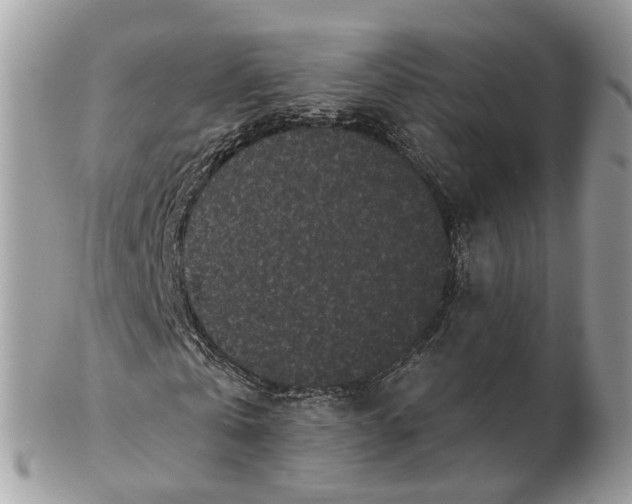 X0000102460769200809051309