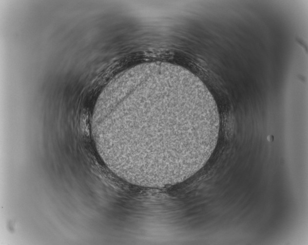 X0000102460770200809051309