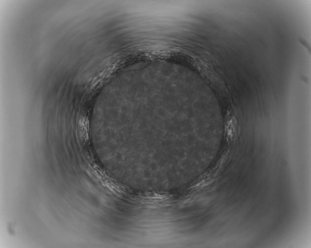 X0000102460772200809051309