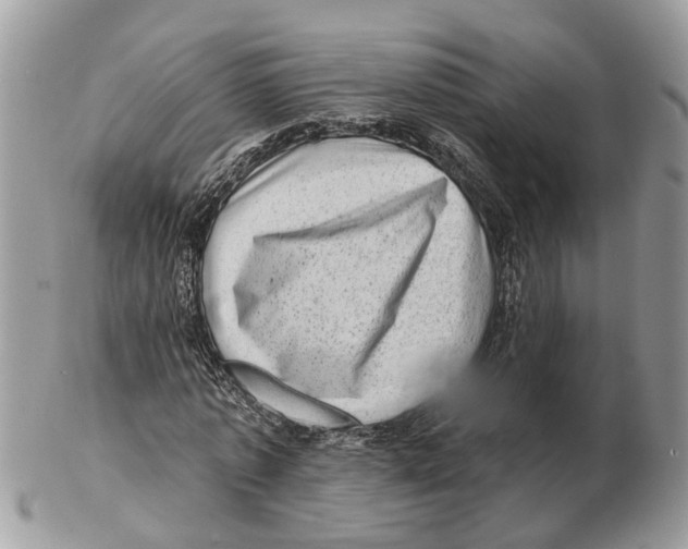 X0000102460773200809051309