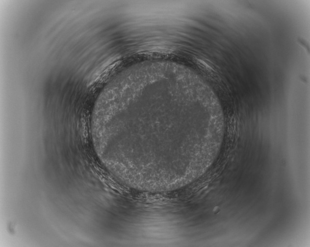 X0000102460774200809051309