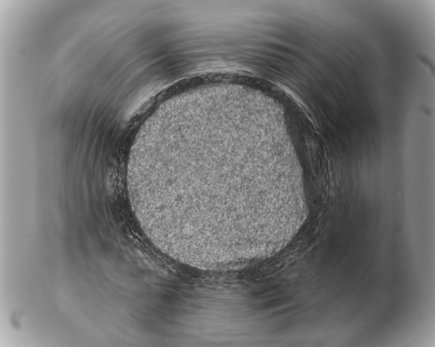 X0000102460775200809051309