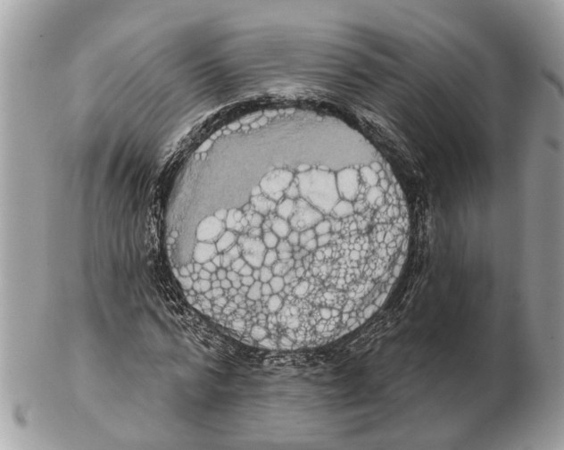 X0000102460776200809051309