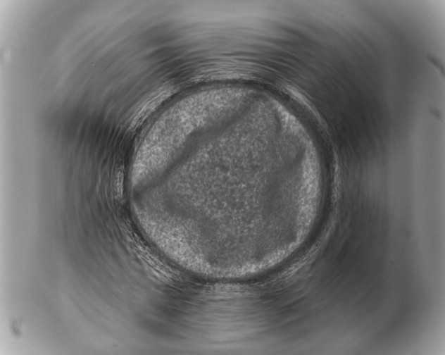 X0000102460777200809051309