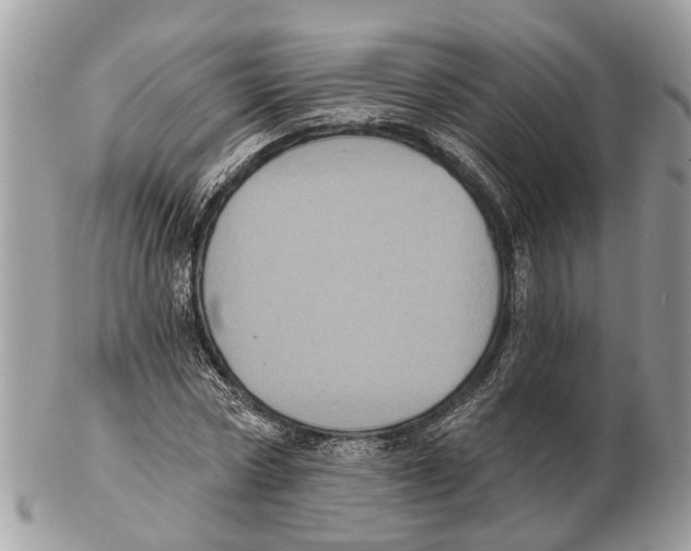 X0000102460778200809051308