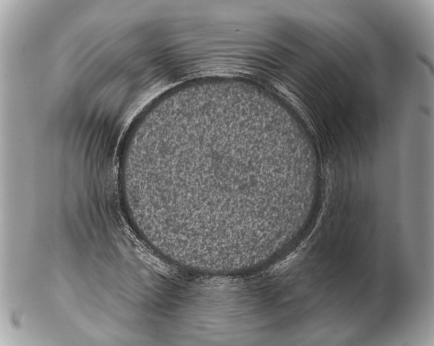 X0000102460779200809051308