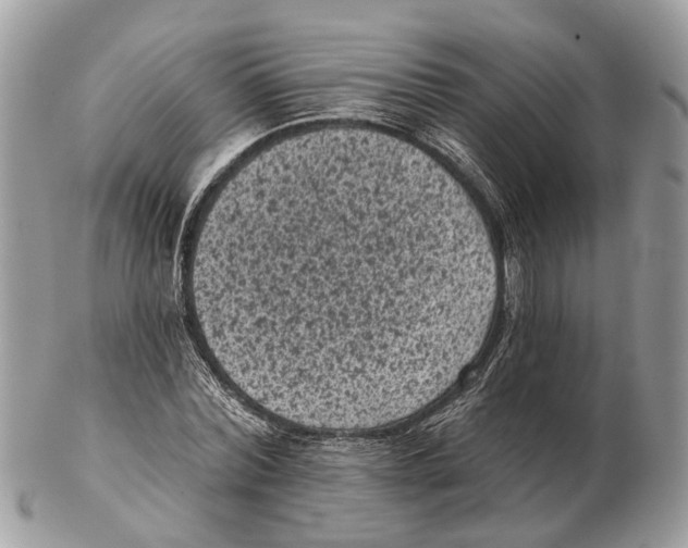 X0000102460780200809051308