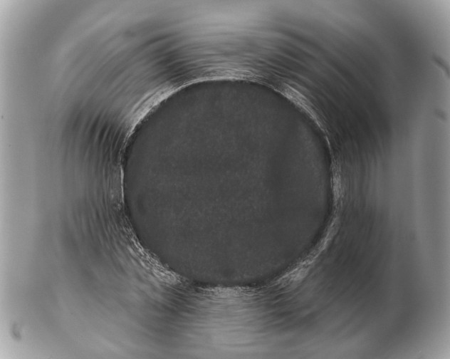 X0000102460781200809051308