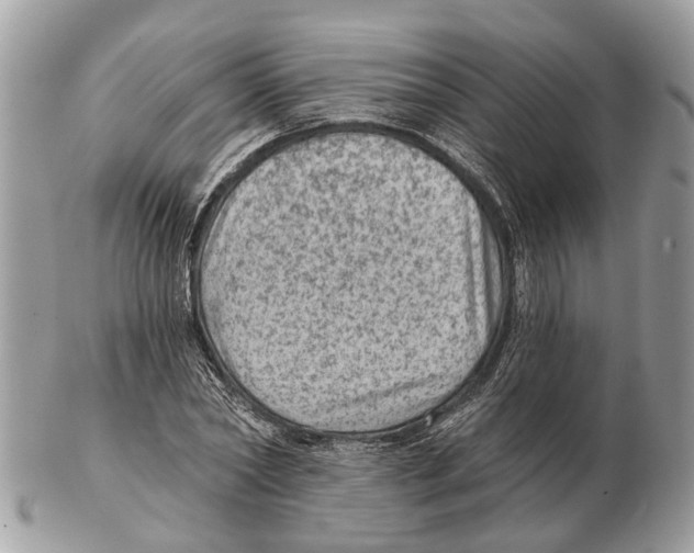 X0000102460782200809051308