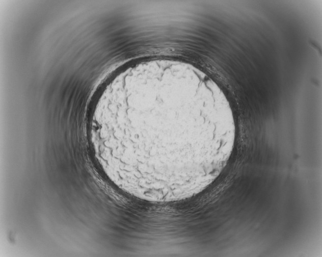 X0000102460784200809051308