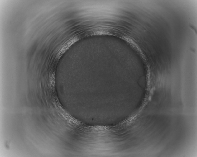 X0000102460785200809051308