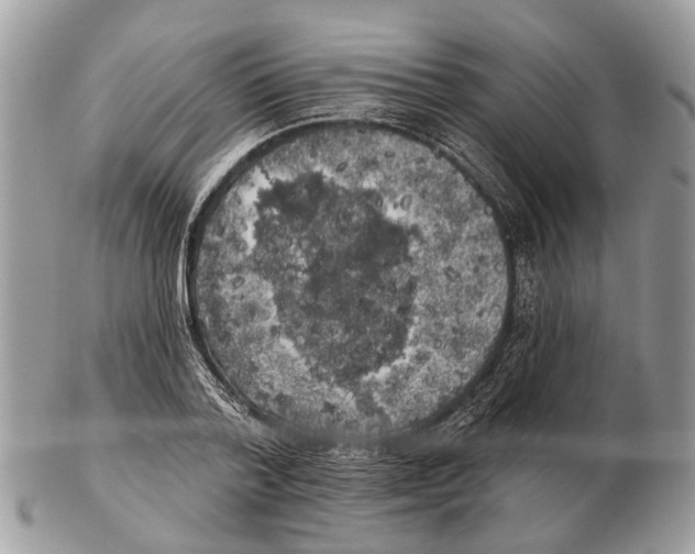 X0000102460788200809051308