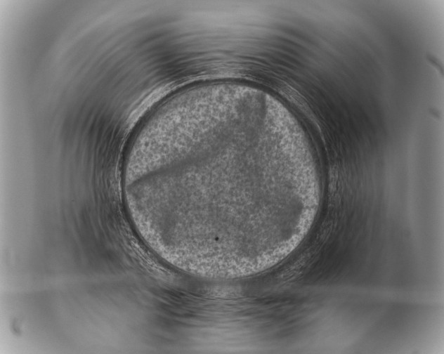 X0000102460789200809051308
