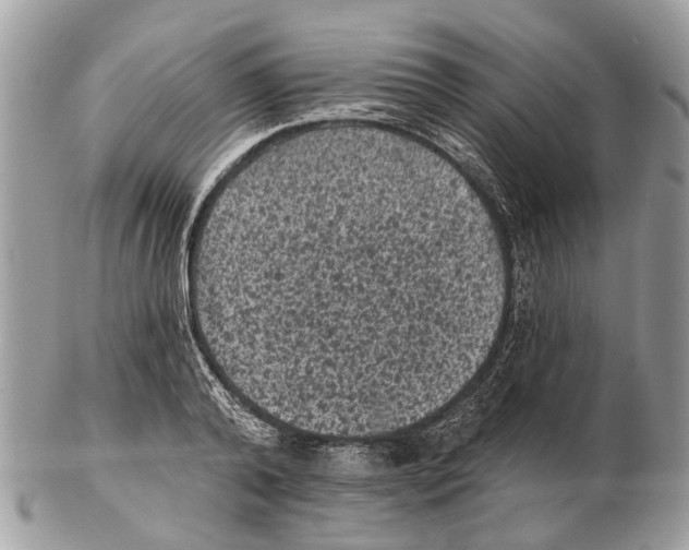 X0000102460792200809051308