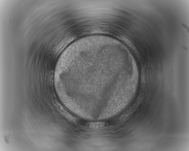 X0000102460793200809051308