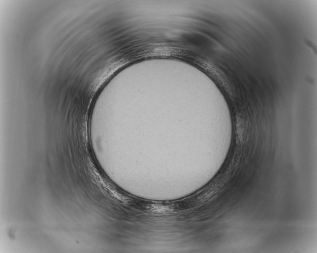 X0000102460794200809051308