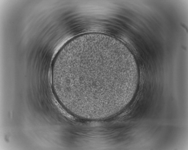 X0000102460796200809051308
