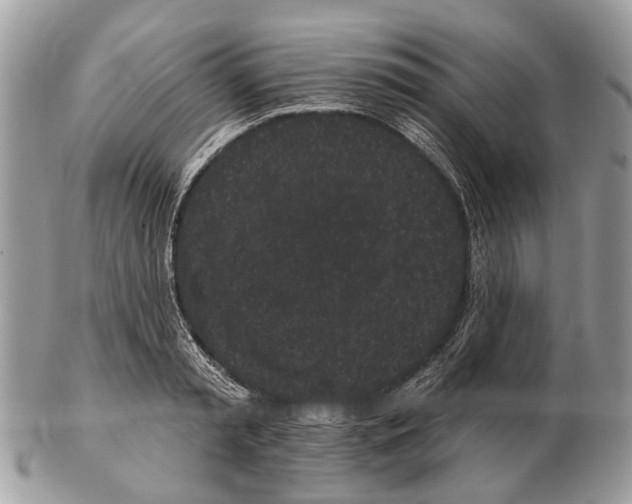X0000102460797200809051308