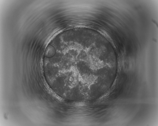 X0000102460798200809051308